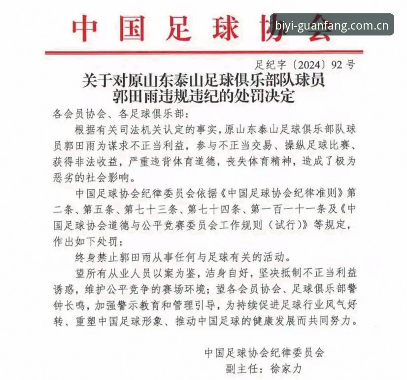 中国足协第三批禁足名单深度解读：17人终身禁赛，48人受罚——必一体育平台实战指南